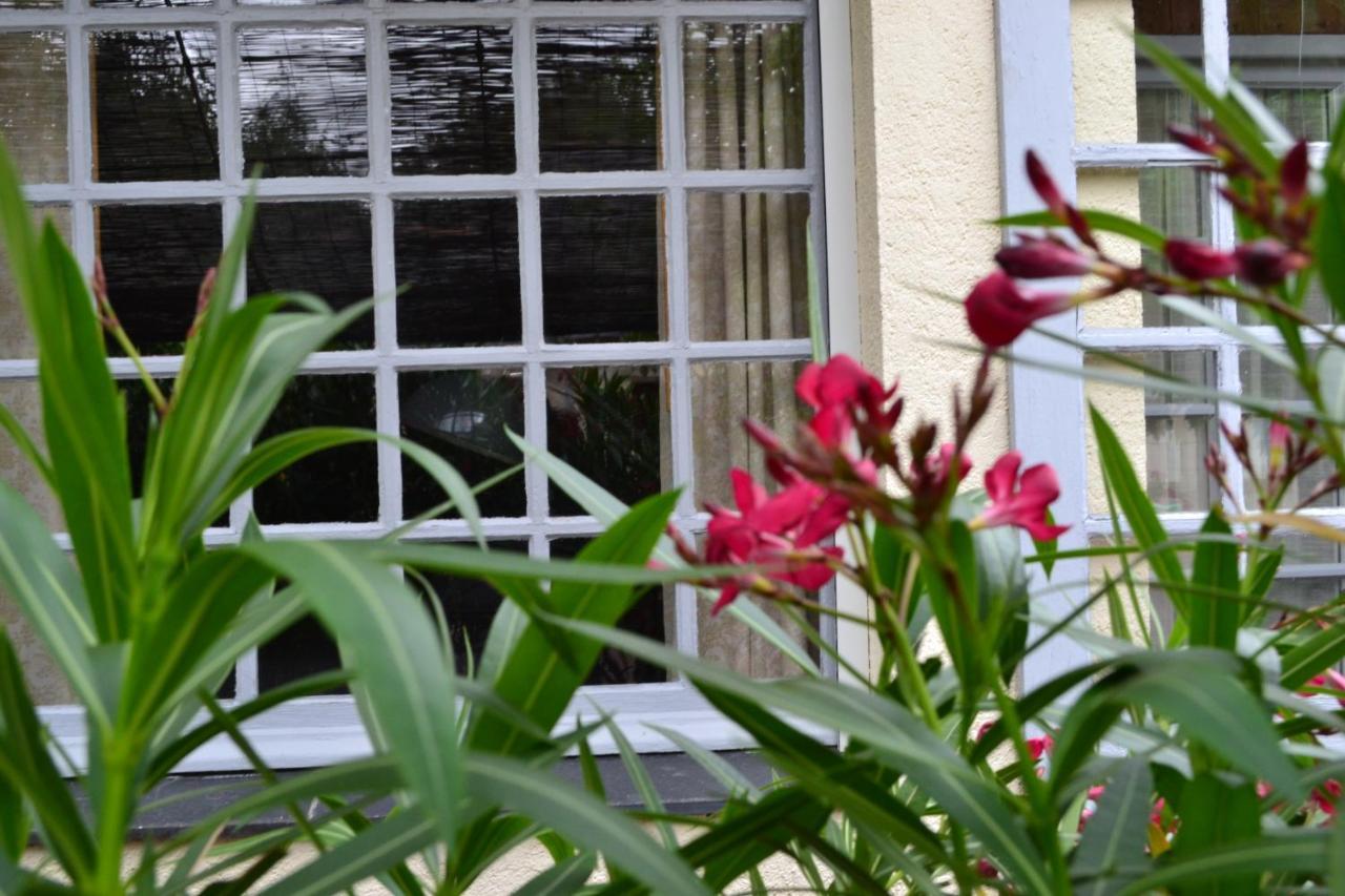مبيت وإفطار Les Bois-d'Anjou Maison D'Hotes La Chouanniere المظهر الخارجي الصورة
